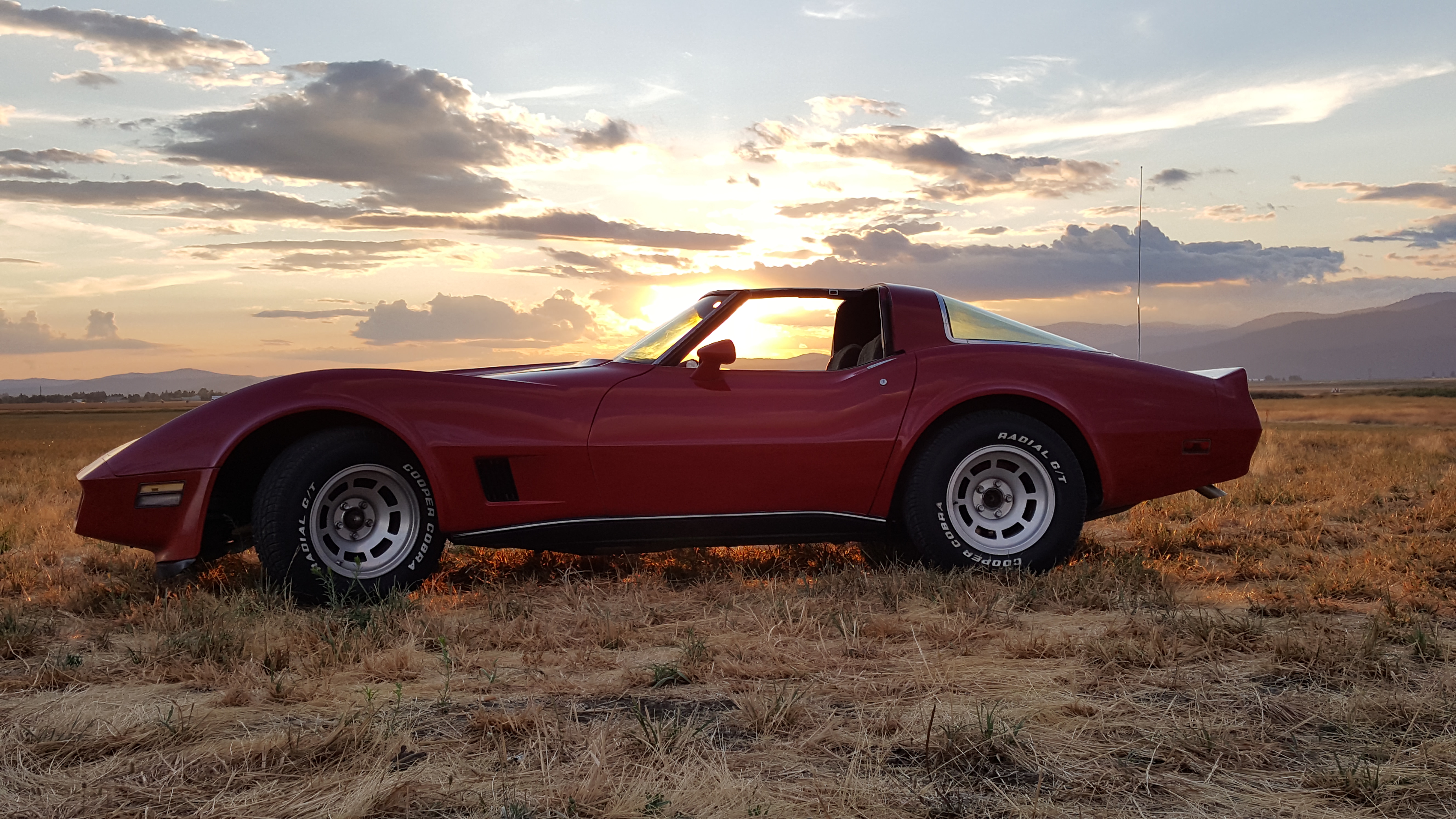 1981 Corvette Badnboujee
