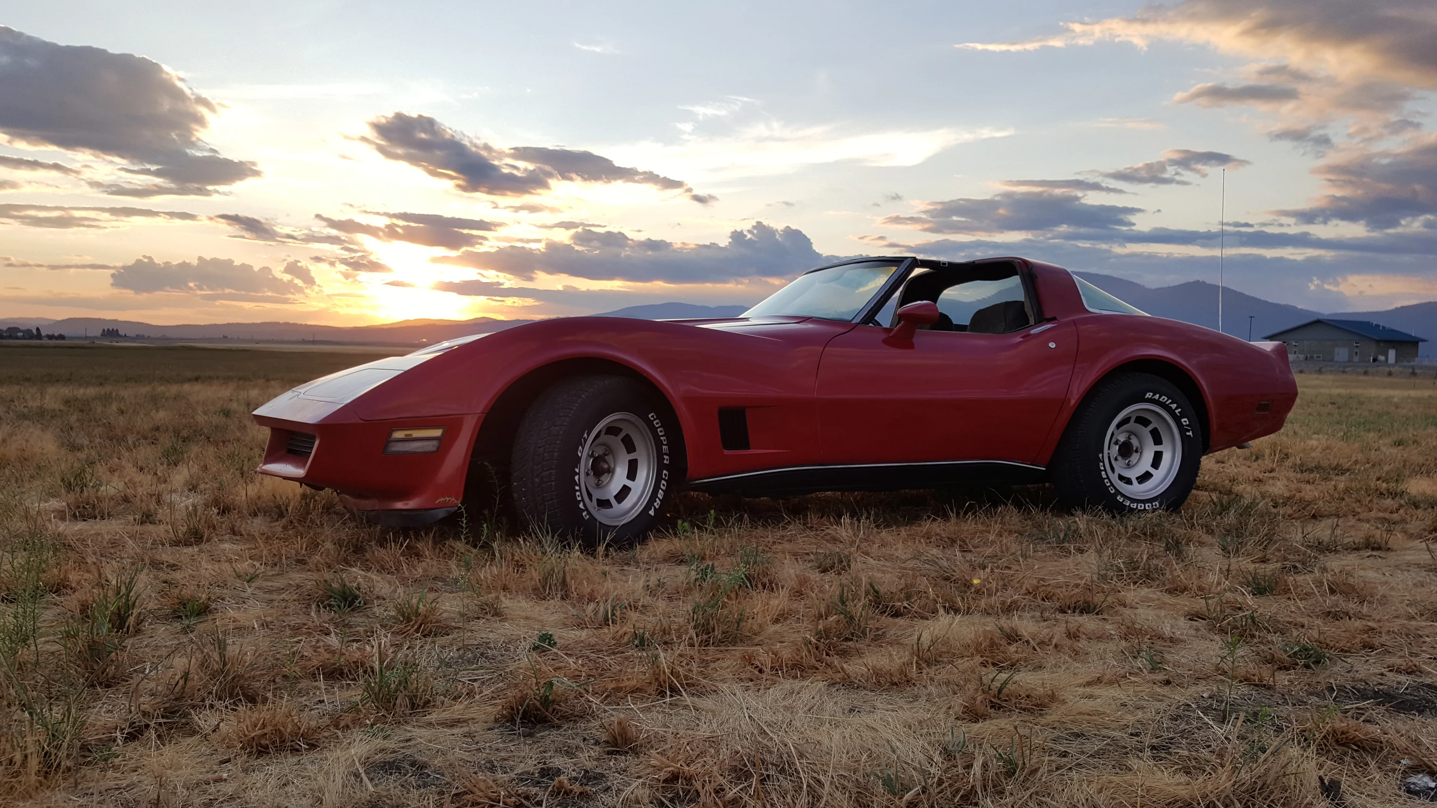 1981 Corvette Badnboujee