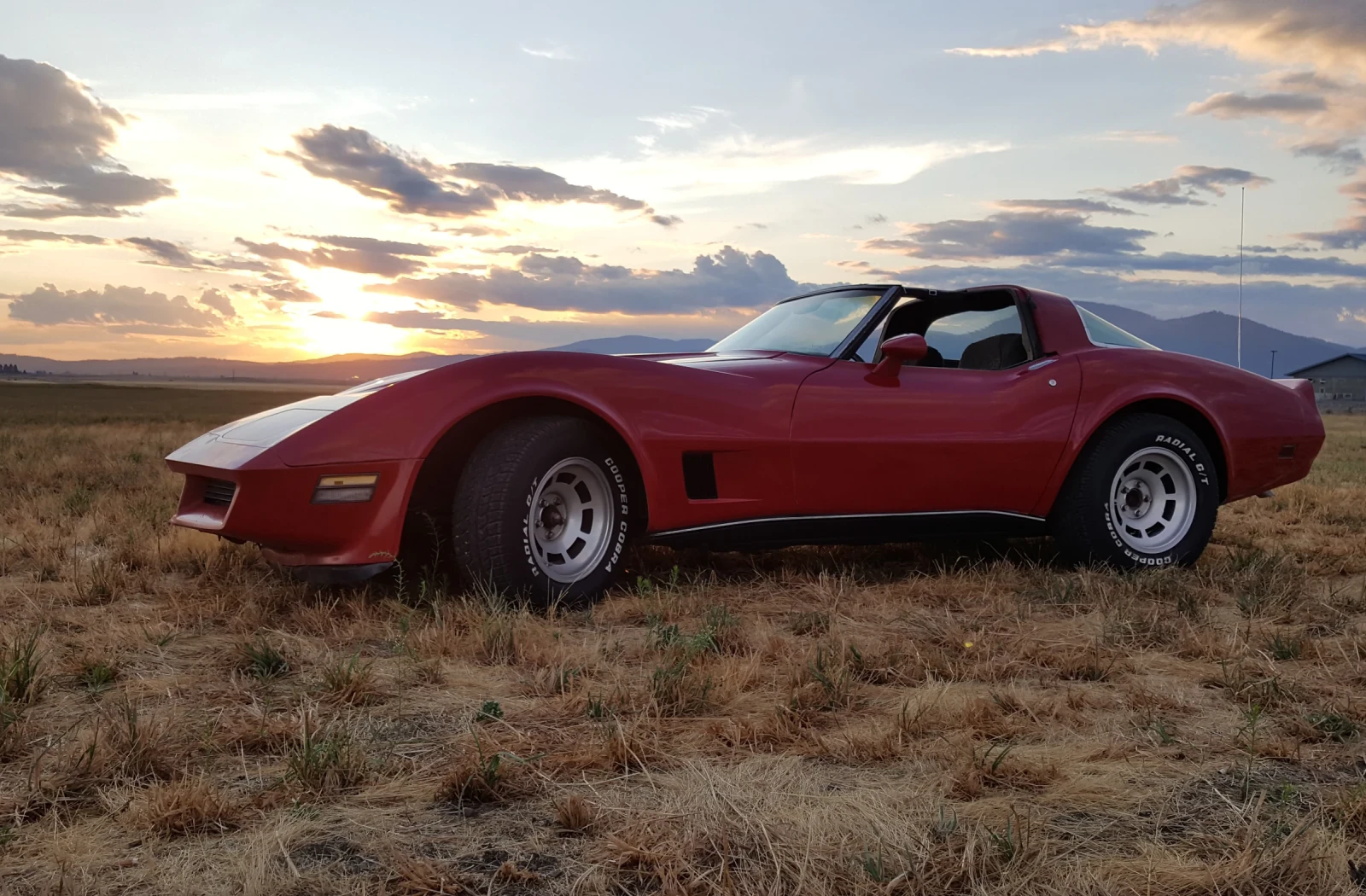 1981 Corvette Badnboujee
